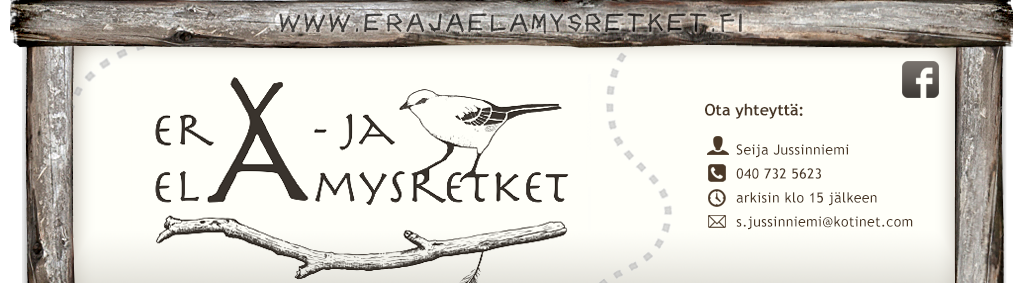 Er- ja elmysretket